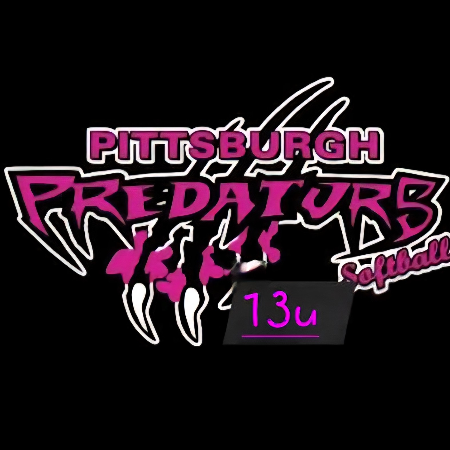 Pittsburgh Predators - Powell 13U