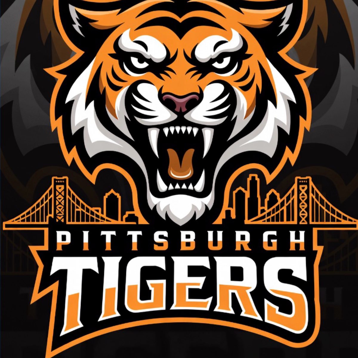 Pittsburgh Tigers - Williams 13U